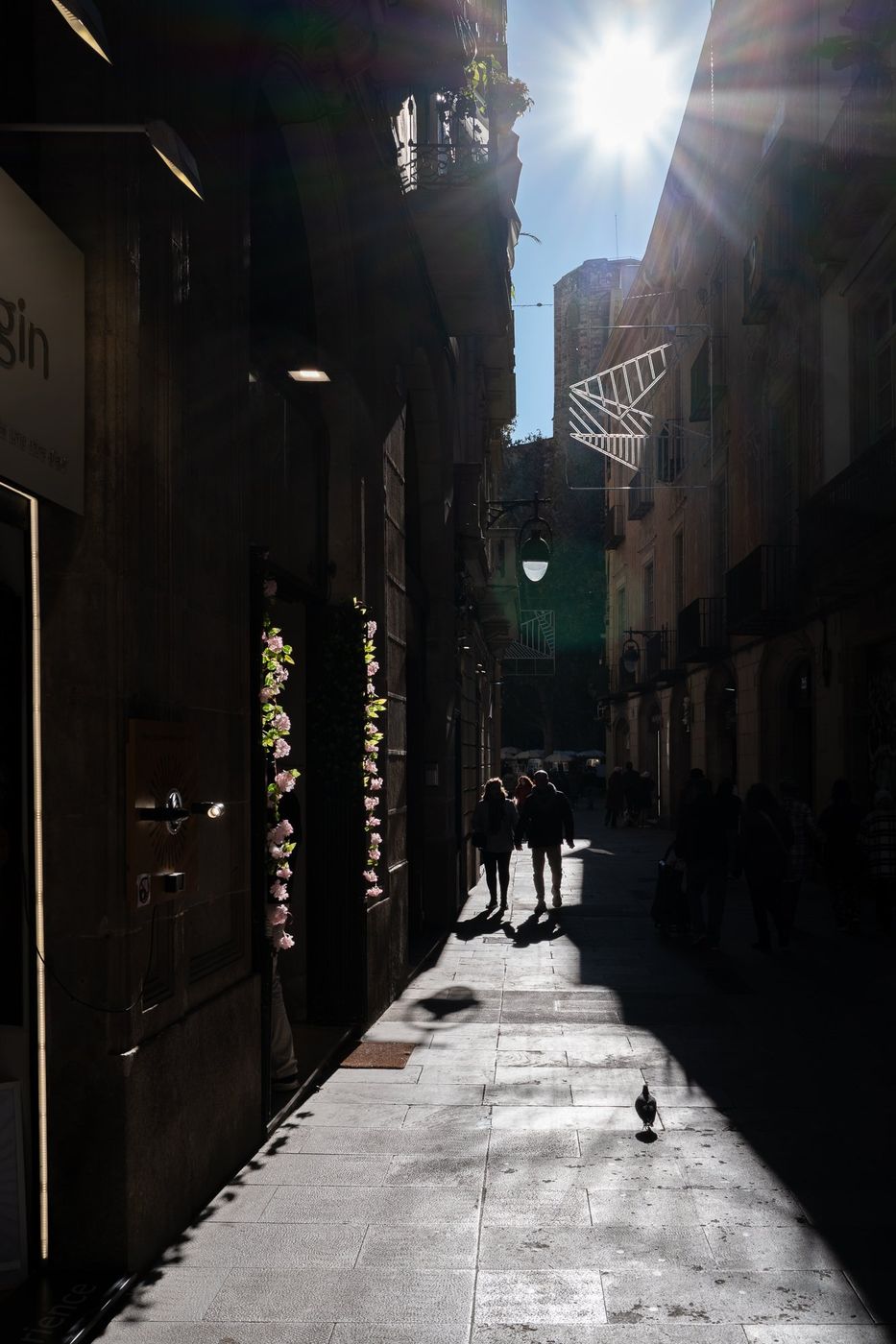 Ruelle etroite et ombragee du quartier gothique, Barcelone
