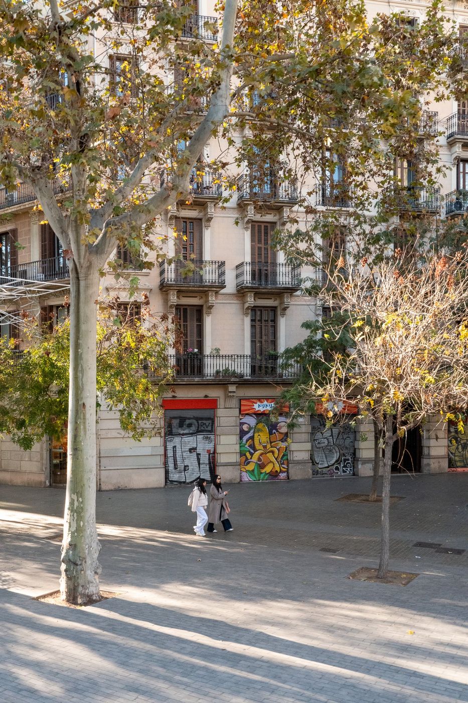 Rangee d'arbres le long d'une avenue, Barcelone