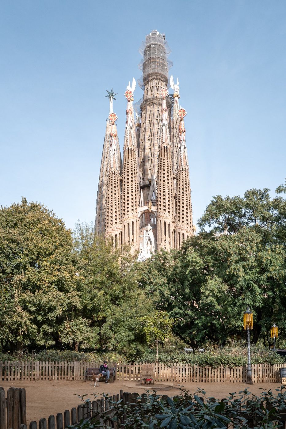 Tour de la Sagrada Familia au-dessus des arbres, Barcelone