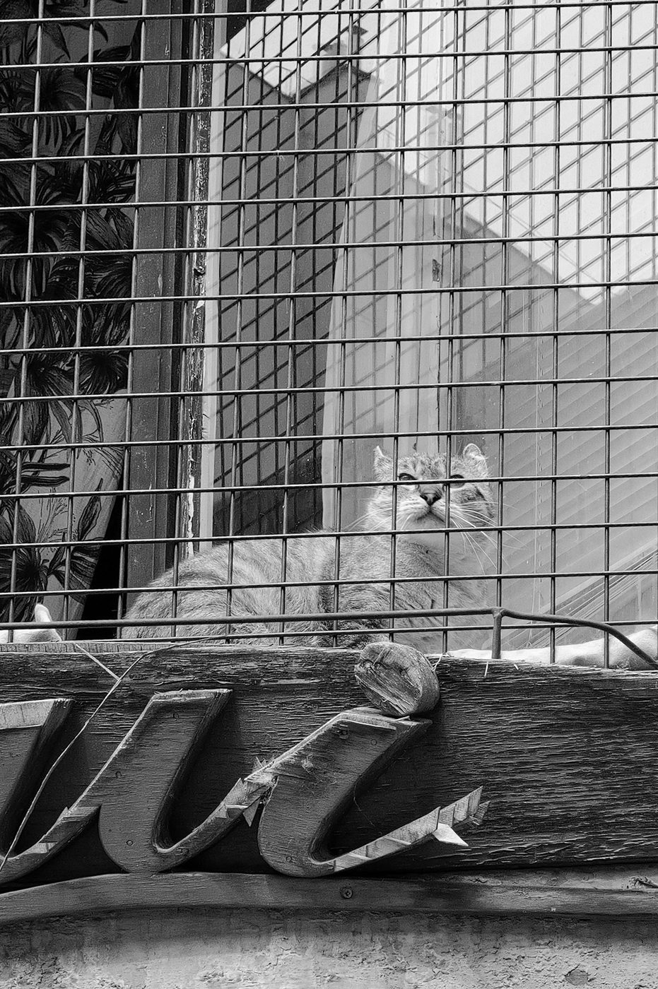 Street photography a Budapest, photo 005