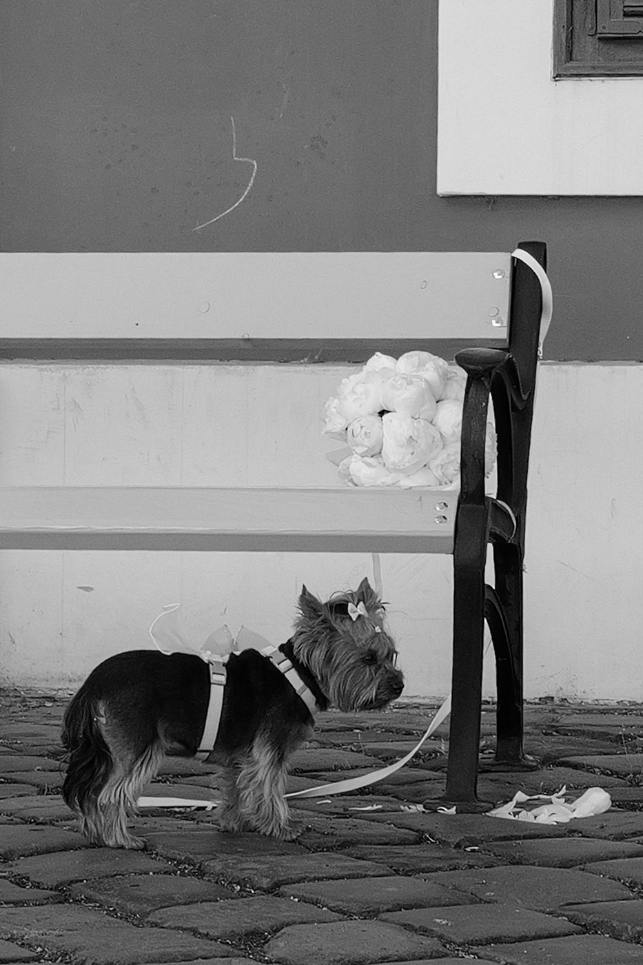Street photography a Budapest, photo 030
