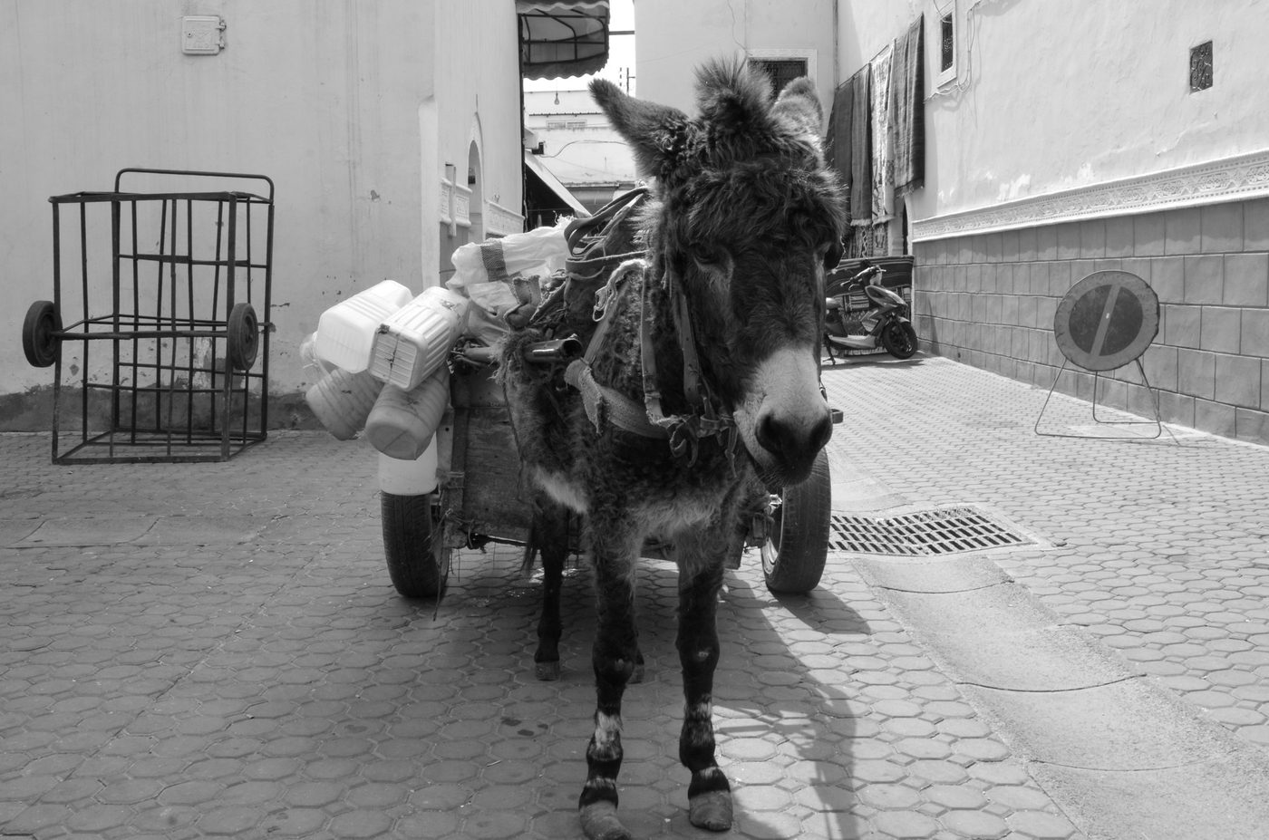 Street photography a Casablanca, photo 045
