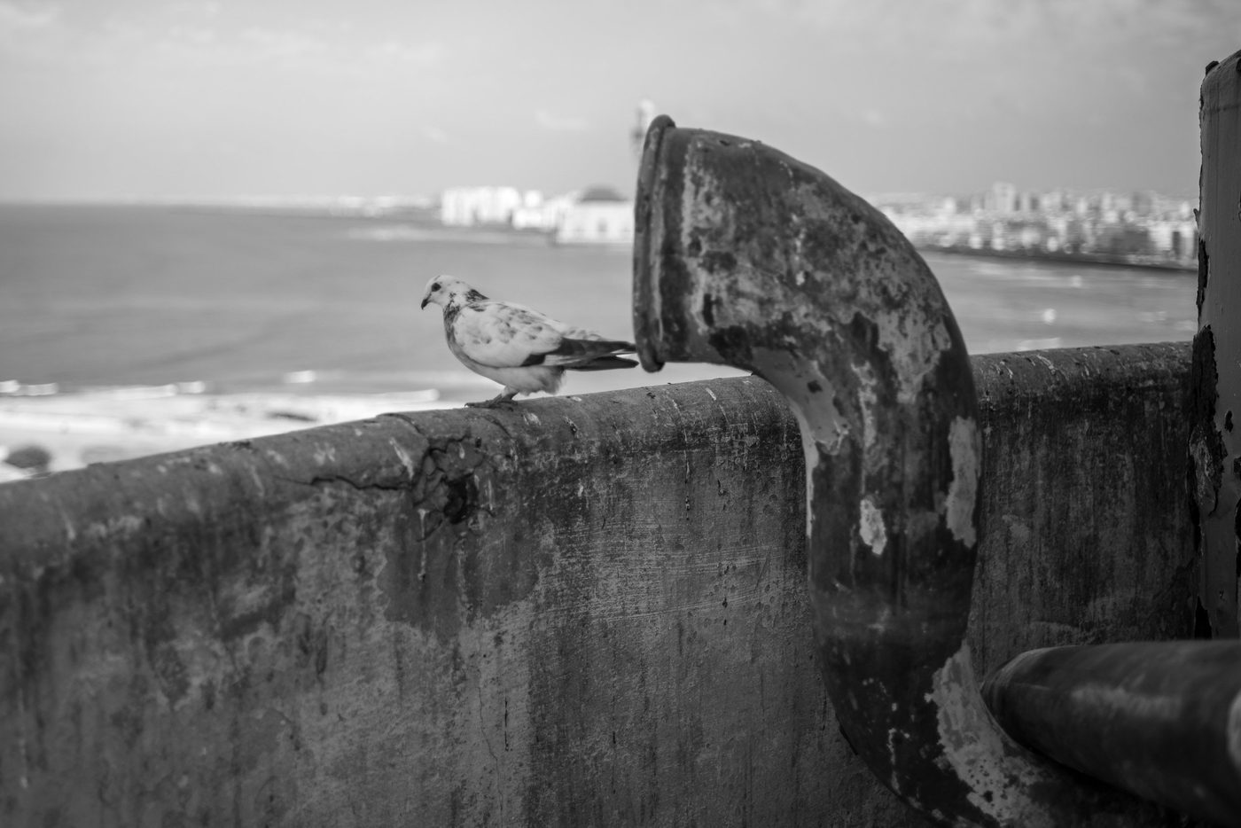Street photography a Casablanca, photo 065