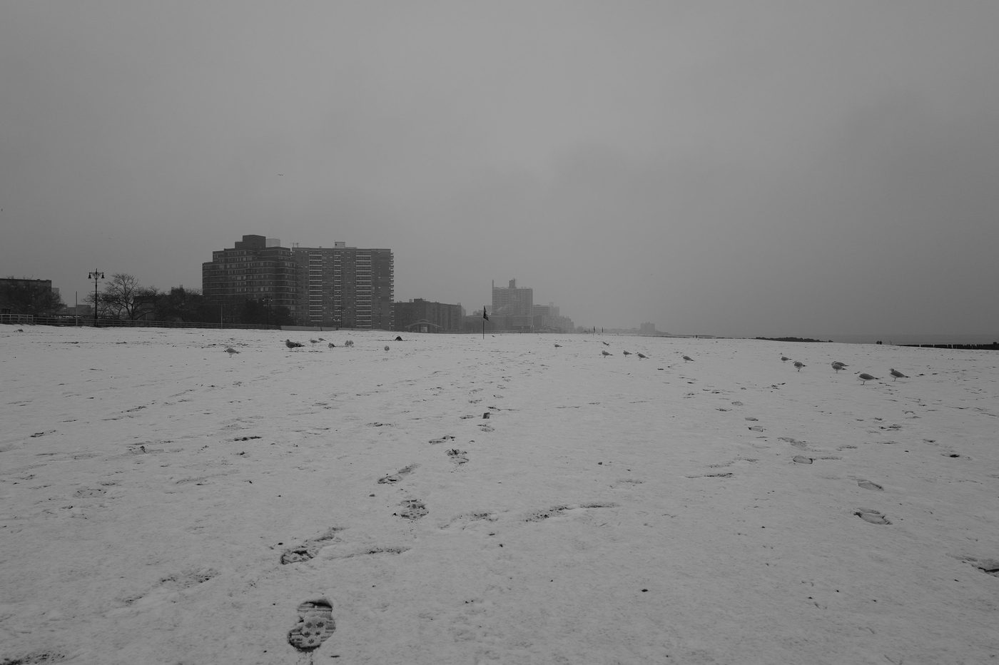 Empreintes de pas et mouettes sur la plage enneigee de Coney Island