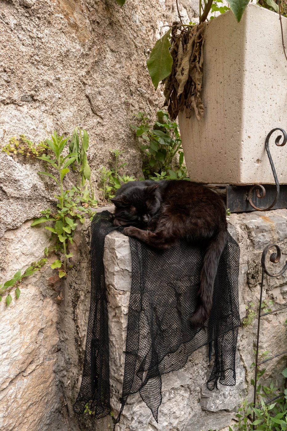 Street photography a Dubrovnik, photo 048