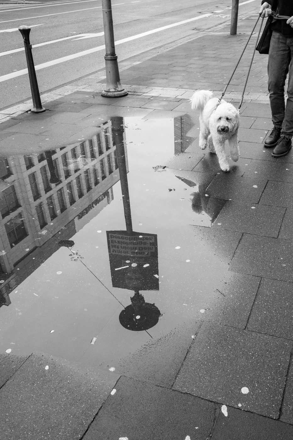 Street photography a Düsseldorf, photo 017