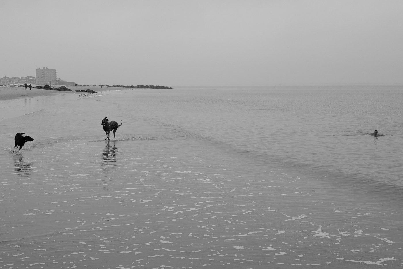 Scene de vie a Coney Island, New York (photo 024)