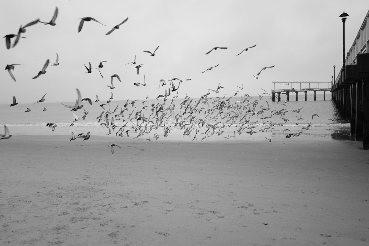 Scene de vie a Coney Island, New York (photo 027)