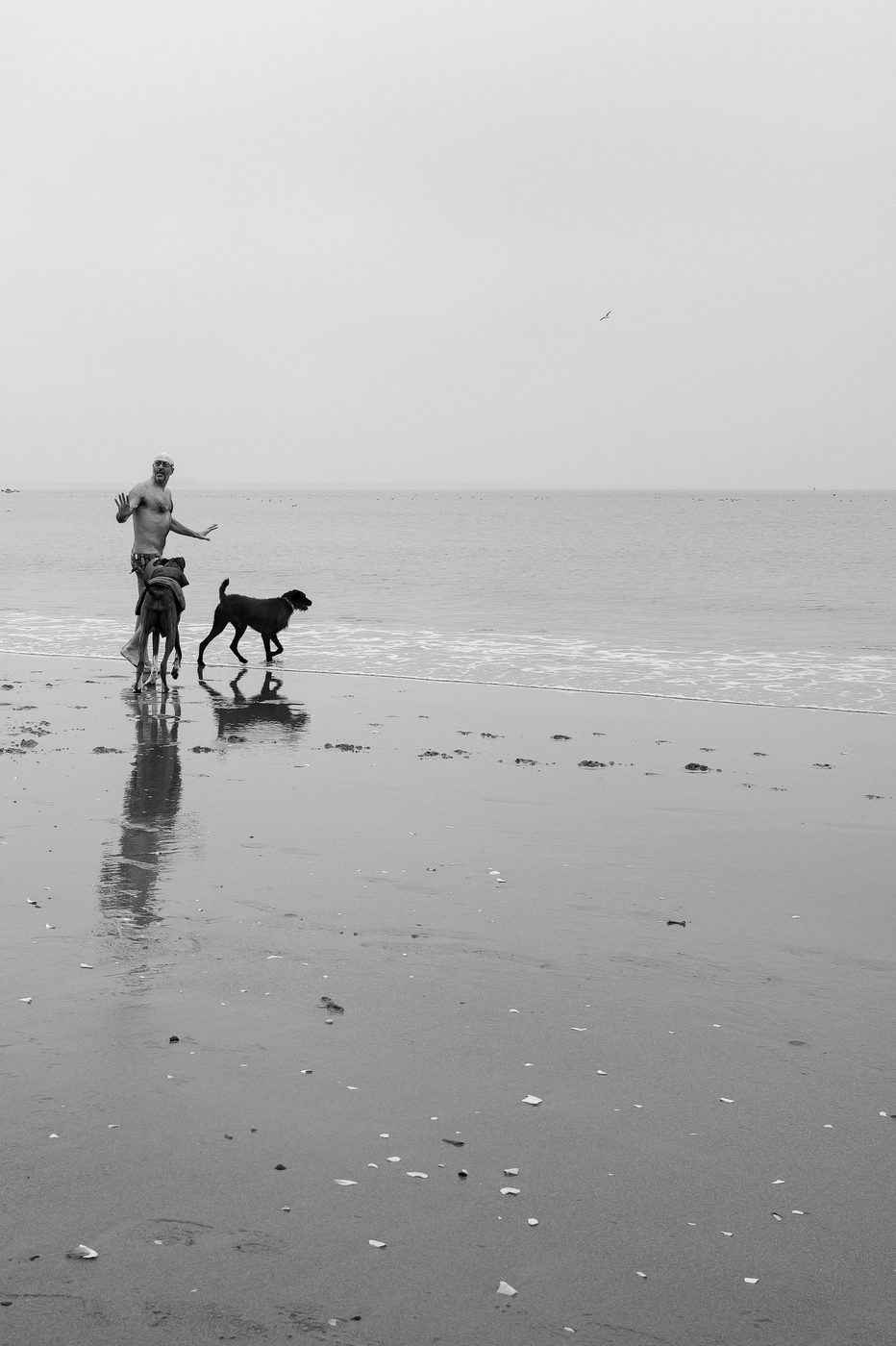 Scene de vie a Coney Island, New York (photo 028)