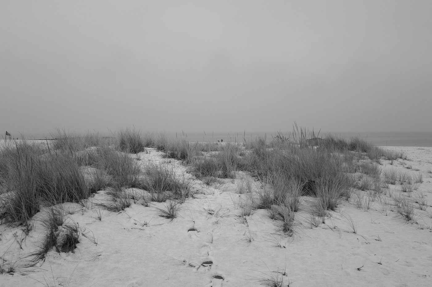 Scene de vie a Coney Island, New York (photo 057)