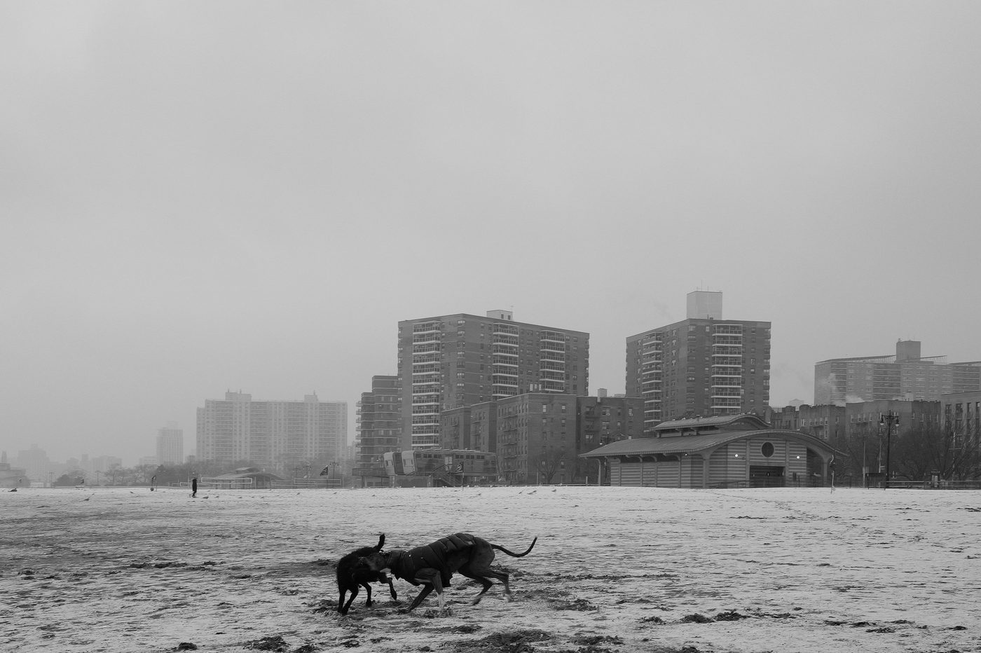 Scene de vie a Coney Island, New York (photo 063)