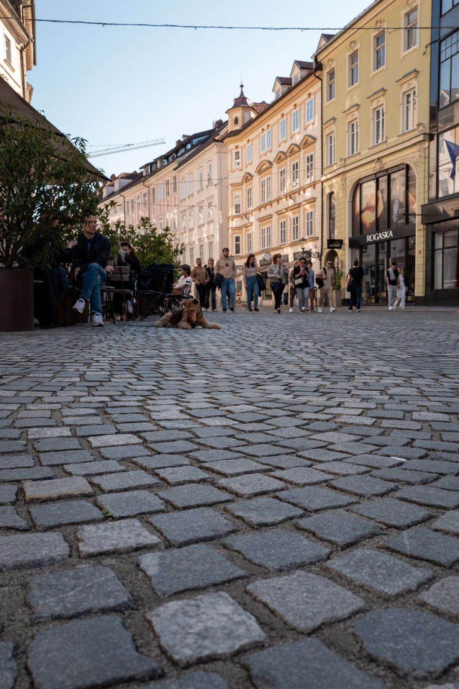 Street photography a Ljubljana, photo 030