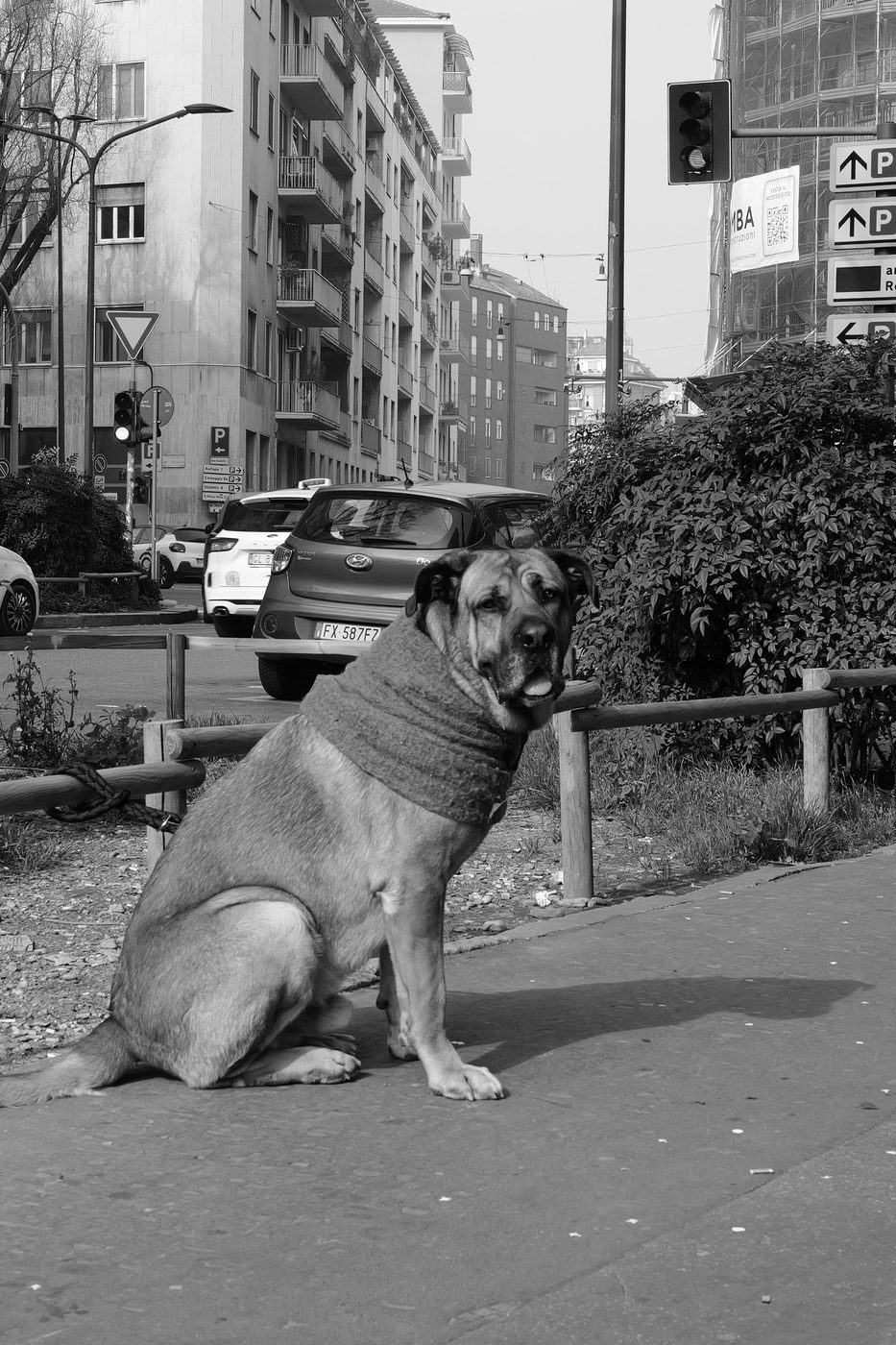 Street photography a Milan, photo 054