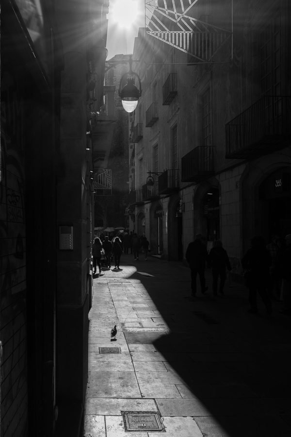 Ruelle etroite et sombre eclairee par un lampadaire la nuit, quartier gothique de Barcelone
