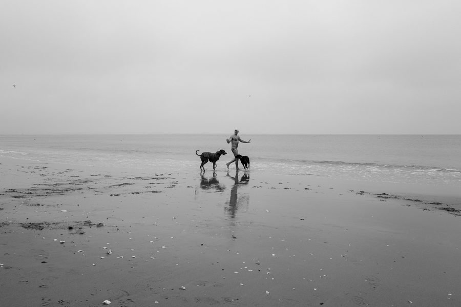Deux chevaux sur une plage vide, New York